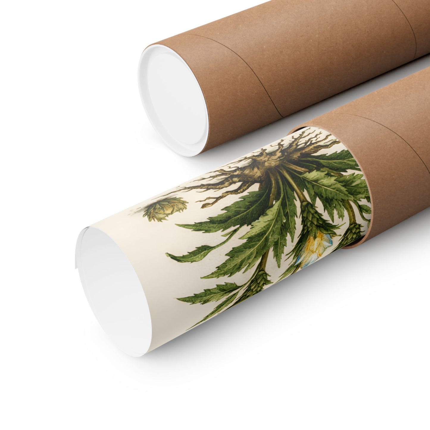 Fantastic Botanical Element Art Poster — Vintage Moon, Fire, Water, Earth Plants (Matte Vertical)