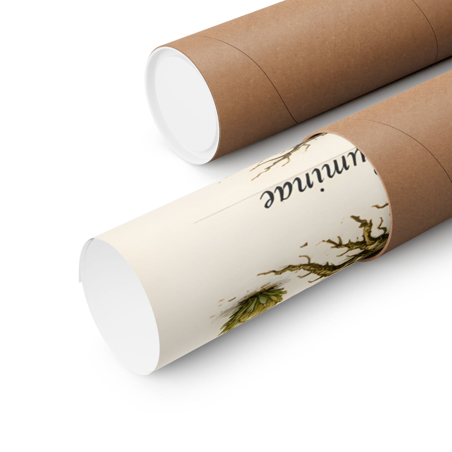 Fantastic Botanical Element Art Poster — Vintage Moon, Fire, Water, Earth Plants (Matte Vertical)